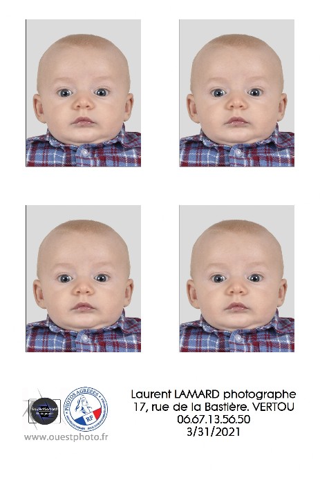photos identités bébé